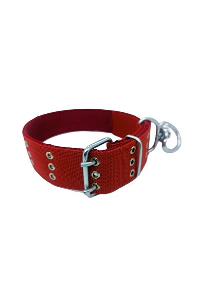 Kozak Büyük Irk Yetişkin Köpek Tasmasi Boy 75-80 Cm En 5 Cm