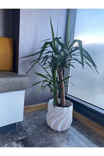 CMHOME Modern Dekoratif Iç Dış Mekan Battal Boy Pla Baski Hand Made Saksi