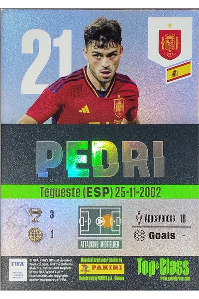 Panini Pedri 
 
 Tegueste (Esp) 25-11-2002