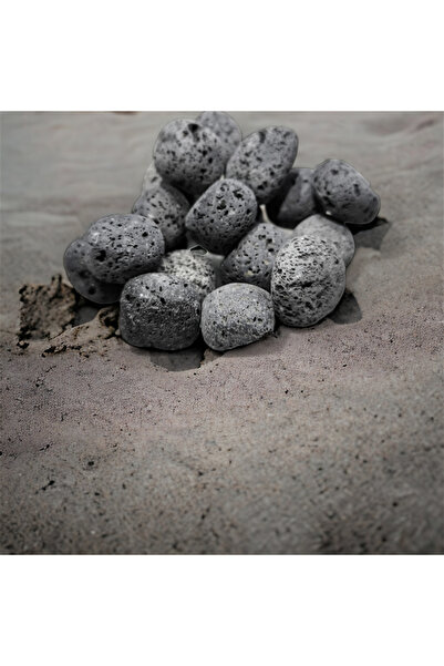 Home 6 Adet Koku Yayan Doğal Volkanik Lav Taşı