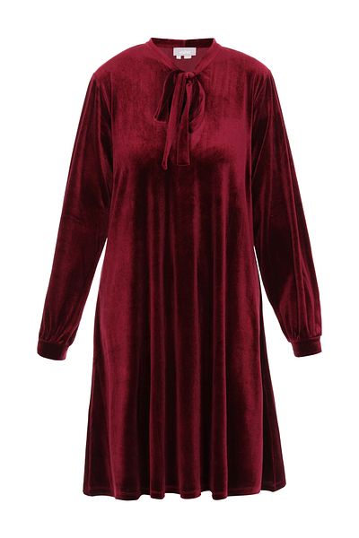 USHA Dress