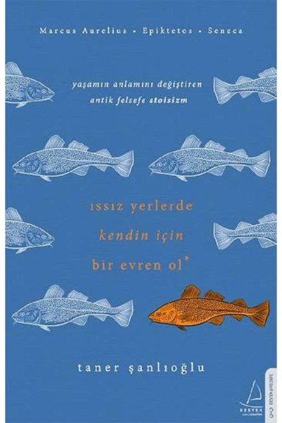 Destek Yayınları Issız Yerlerde Kendin İçin Bir Evren Ol