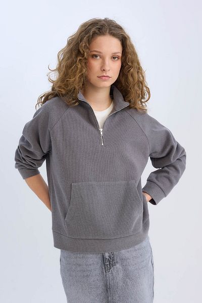 DeFacto Polo Collar Oversize Sweatshirt - Kangaroo Pocket and Zipper E0741Ax24Wn