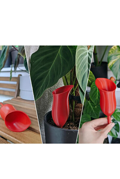 Decorstation Bitki Sulama Kabı Kırmızı Damıtma