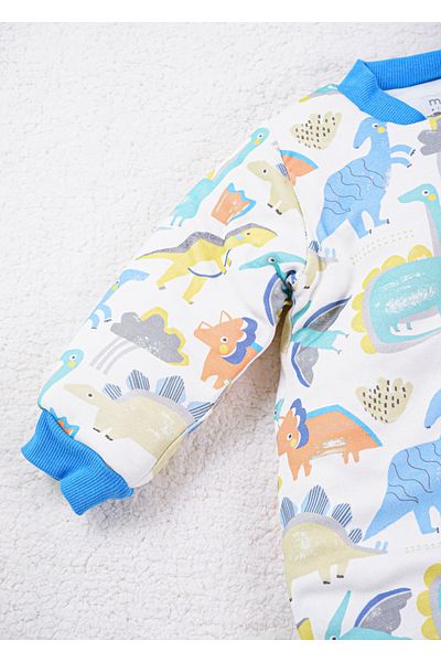 Baby Minty Dinosator Printed Sleep Bag