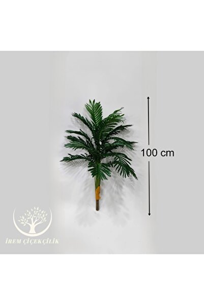 İremÇiçekçilik Kısa Yeni Areka (saksısız) - Premium