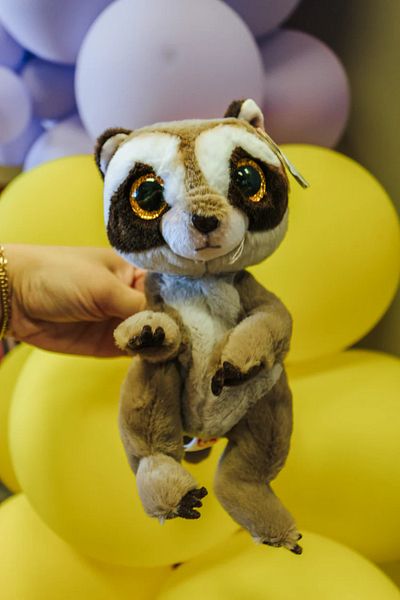 TY Beanie Boos Petey Gray Raccoon Plush 15 cm