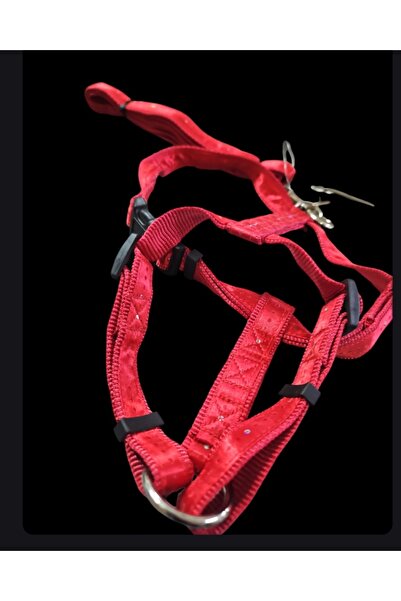 İmparator İmparator- Köpek Gövde Tasması