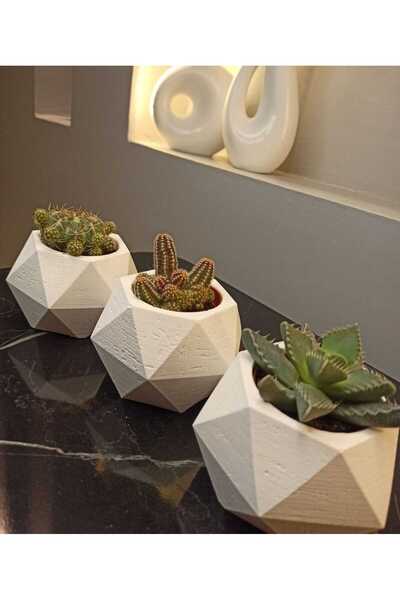Home 3lü Kaktüs skulent saksı