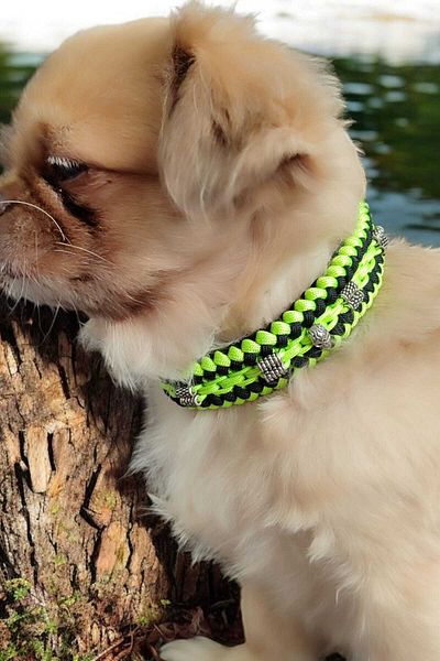 Urz Kids Small Breed Paracord Leash with Neon Green and Black Metal Accessories