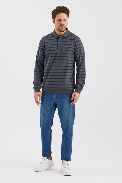 ALEXANDERGARDI Polo Neck Striped Regular Fit Sweatshirt (Wk25386)