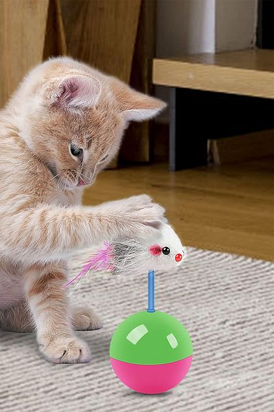 MAROKEN Movable Cat Ball - Mouse Pilgrim Sleeping Kitten Toy, Pet Shop Product