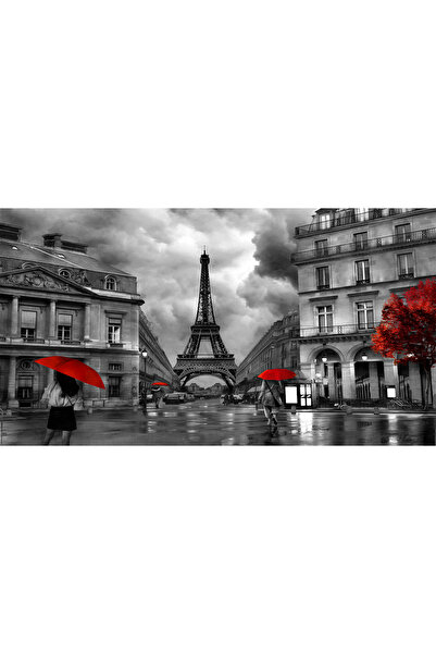 dreamwall Siyah Beyaz Paris Eyfel Kulesi Desenli Silinebilir Kumaş Duvar Kağıdı - En X Boy