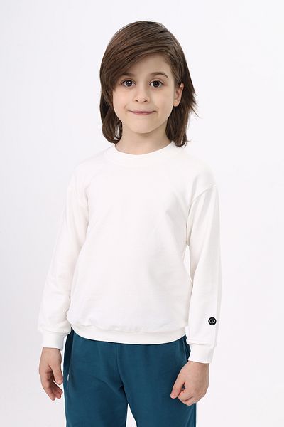 Toontoy Boy's Sweatshirt - Printed