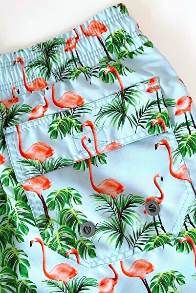 AYYILDIZ 845 Ανδρικό σορτς Green Sea