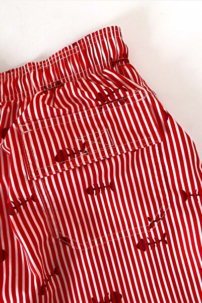 AYYILDIZ 845 Men's Red Striped Swim Shorts