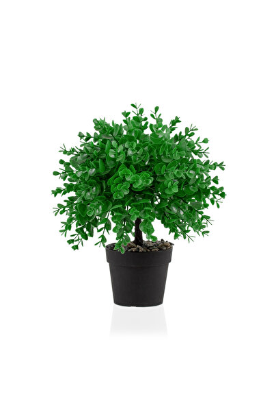 Çiçekmisin Siyah Mini Plastik Saksıda Taşlı Yapay Demet Şimşir