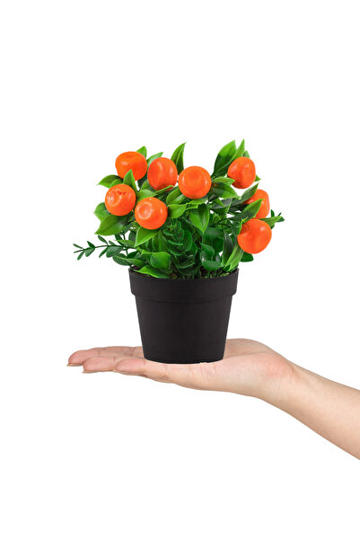 Çiçekmisin 3’lü Set Siyah Mini Plastik Saksıda Yapay Mandalina, Kokina Ve Nar...