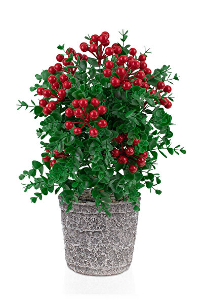 Çiçekmisin Porselen Saksıda Yapay Kokina Ağacı