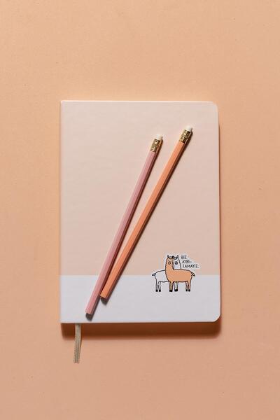 Hisli Şeyler 16*22 96 Yp.Sert Kapak Ciltli Defter-Biz Ayrılamayız