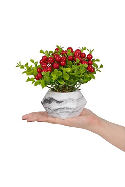 Çiçekmisin Mermer Saksıda Yapay Yılbaşı Çiçeği