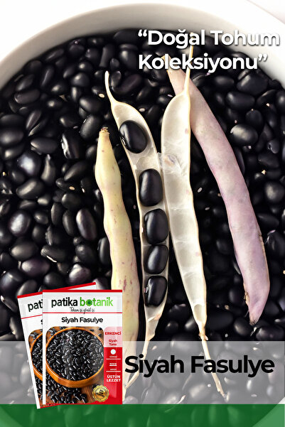 Patika Botanik 50 Adet Siyah Fasulye Tohumu