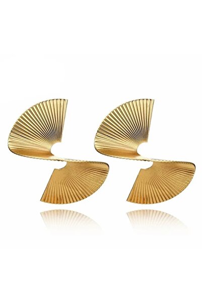 DM -Care Trend Geometric S Shape Steel Earrings