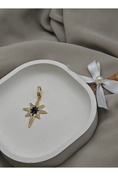 Çelik Arya jewelry 316L kararma yapmaz Çelik kadın zirkon taşlı kutup yıldızı...