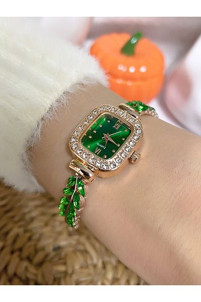 Bimodabu Zircon Stone Model Women's Wristwatch