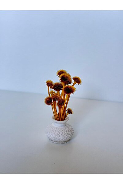 HomeFuture Yapay Çiçek Kuru Çiçek Ponpon Salon Biblo Saksı Yapay Çim Okaliptus Karikatür Sarı