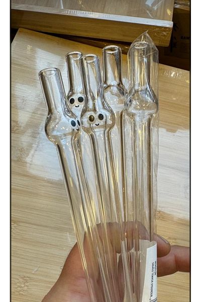 DORRY HOME 2 Cute Borasilicate Glass Straws