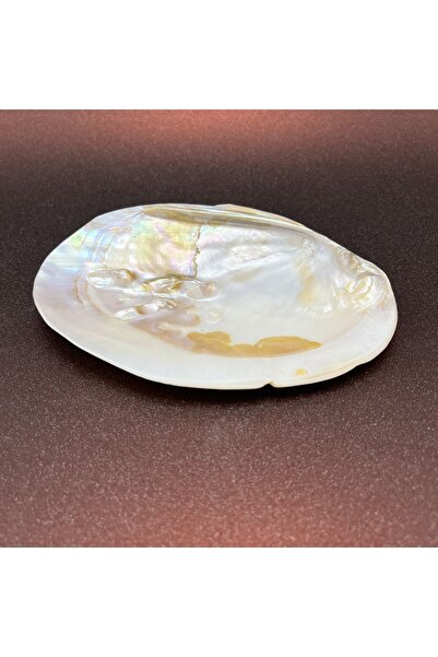 DOĞAL TAŞ CENNETİ İstiridye Sedef Deniz Kabuğu Kase