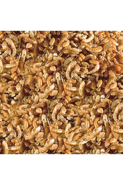 SERA Raffy I Gammarus 50 gr (Açık) Kilitli Poşette Kurutulmuş Karides Skt:09/2027