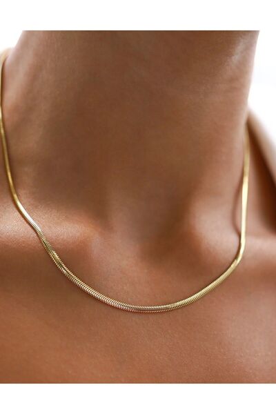 Ricco Jewellery 14 K Gold Kaplama 925 Ayar Gümüş Balık Sırtı Choker Kolye