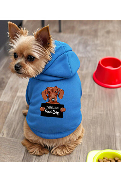 petite pati Mavi Wanted brownie Baskili Köpek Kıyafeti Sweatshirt