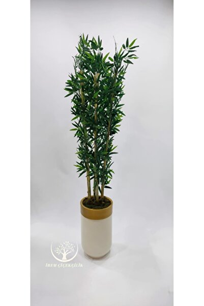 İremÇiçekçilik 7'li Krem Gold Darbuka saksıda Bambu - Premium