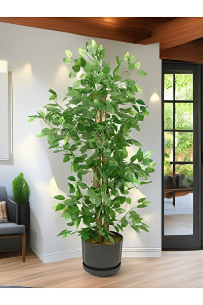 TamEvim Bakım Derdi Yok - Benjamin Ağacı Serinova Saksıda Çim Detaylı Yoğun Yapraklı 130 Cm Yapay