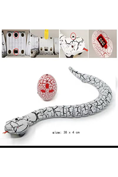 charmerprincesses Sensörle Çalışan Şarjlı Ve Hareketli Yılan Kumandalı kedi çocuk köpek oyuncağı