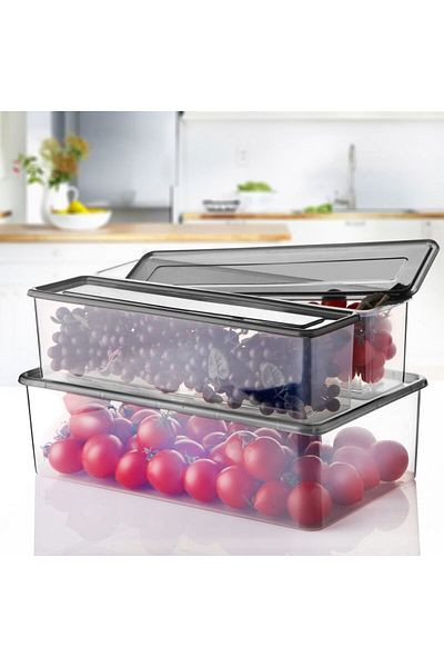 Espas Home Storage Container Usable in Refrigerator and Deep Freezer - Set of 3