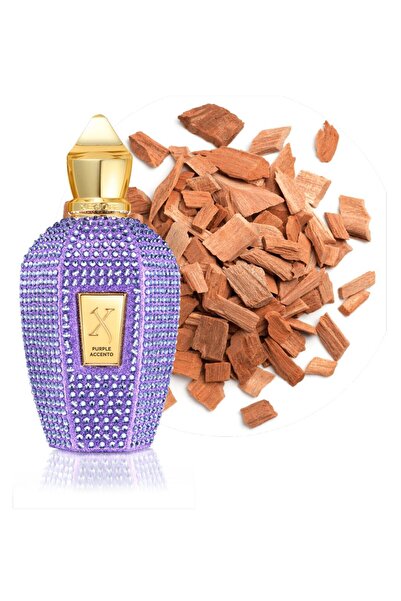 Xerjoff V Purple Accento - 100 ML Kadın Parfüm