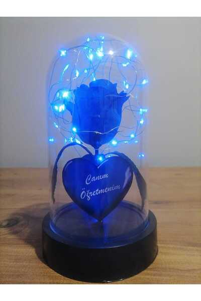 Piyan Mavi Gül Çiçek Kalpli Işıklı Fanus 24 Kasım Öğretmenler Günü Hediyesi