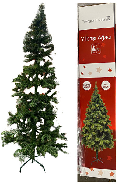 Tarrington House Çam Ağacı Yılbaşı Ağacı 210 cm