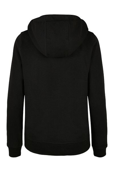 ABSOLUTE CULT Damen Harry Potter - Seidenschnabel Line Art Basic Kapuzenpullover