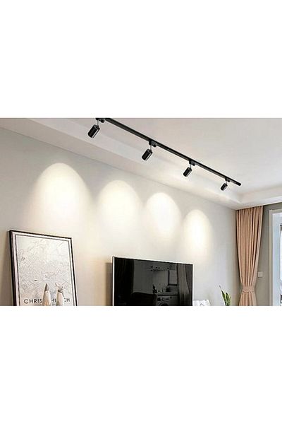 Cata Ct-5336 Sp Halley (Platinum) Rail Spot - Empty Case Luminaire