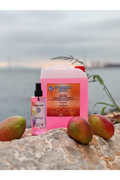 dynamix wash - Mango Parfüm 5 Lt - 250 ml Hediye 2'li Araç Parfümü - Oto Parf...