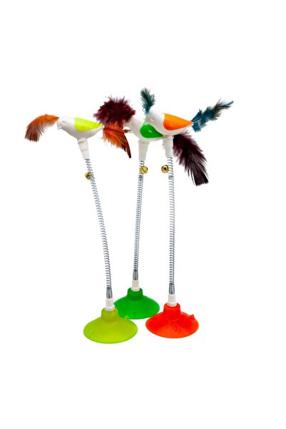 kirvanoğlu VANTUZLU YAYLI HACIYATMAZ KUŞ ( 1 ADET )