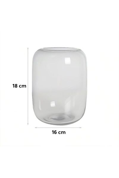 Generic Aquarium Terrarium glass tank 16x18 clear