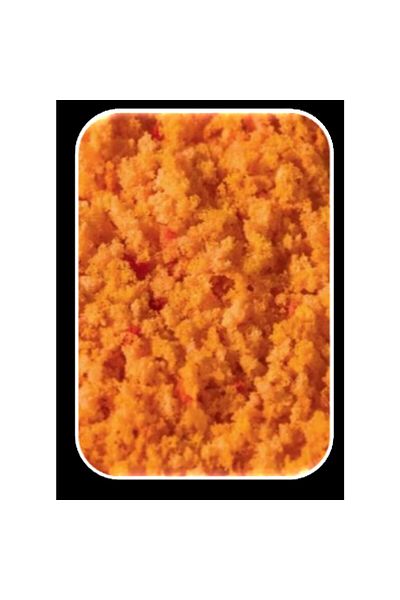 Eshel Orange Sponge--20 Gr--20 gr