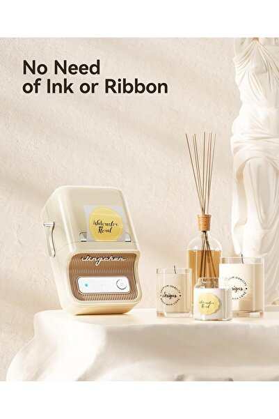 NiiMbot B21 Etiket Makinesi Kremsi Beyaz, Kablosuz Taşınabilir Bluetooth - Usb Şarjlı Siyah