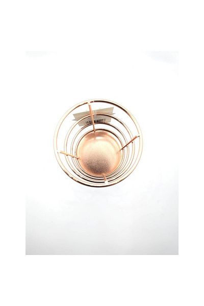 Syloon Pyrus Rose Gold Pen Holder